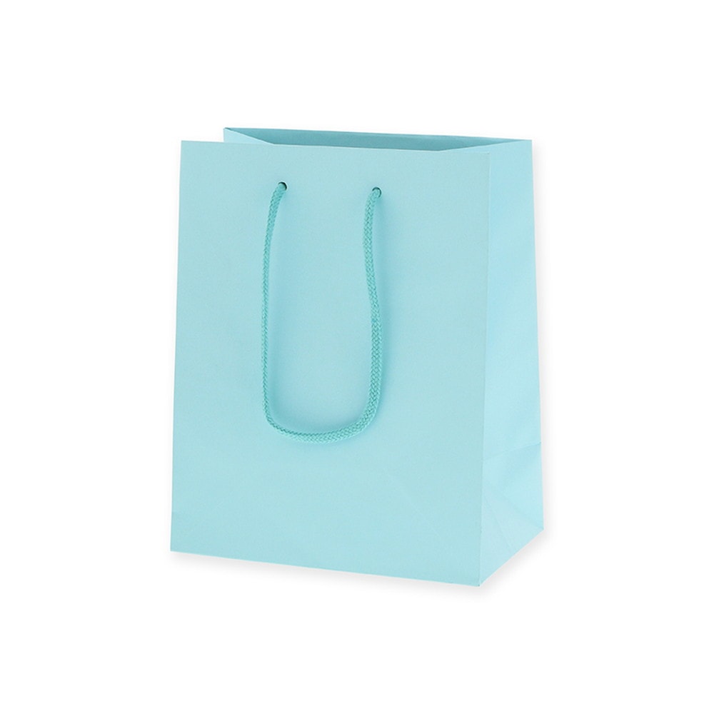 HEIKO 紙袋 プレーンチャームバッグ 20-12 ミズ 10枚×10袋(計100枚入