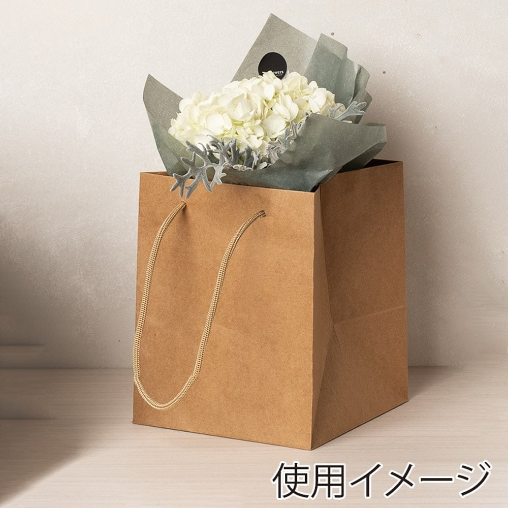 （手提袋）アレンジバッグ L 未晒無地/50枚入（K05-4901755591637-5J）