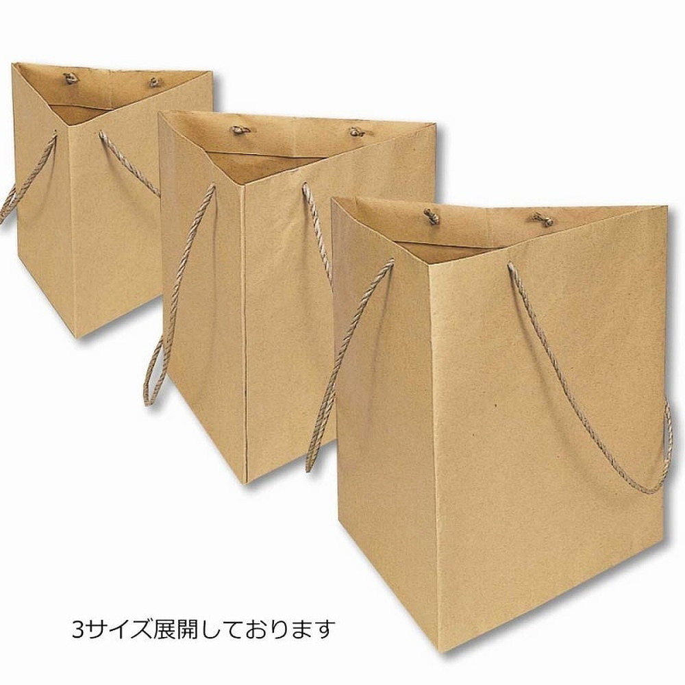 紙袋 トライバッグ 10枚×5袋 50枚入 未晒無地 No.2｜うさマート