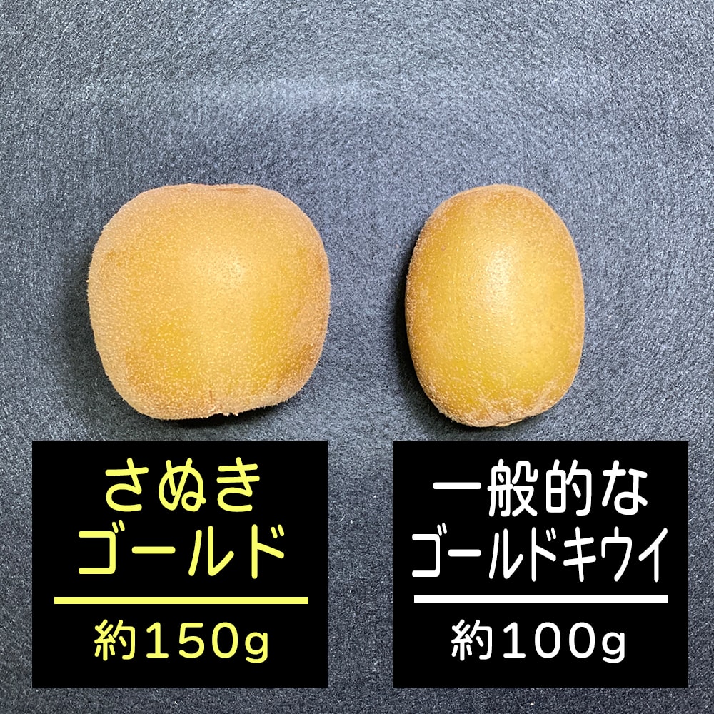 期間限定】さぬきゴールド 香川県産 4パック 8玉 約1.2kg 糖度13