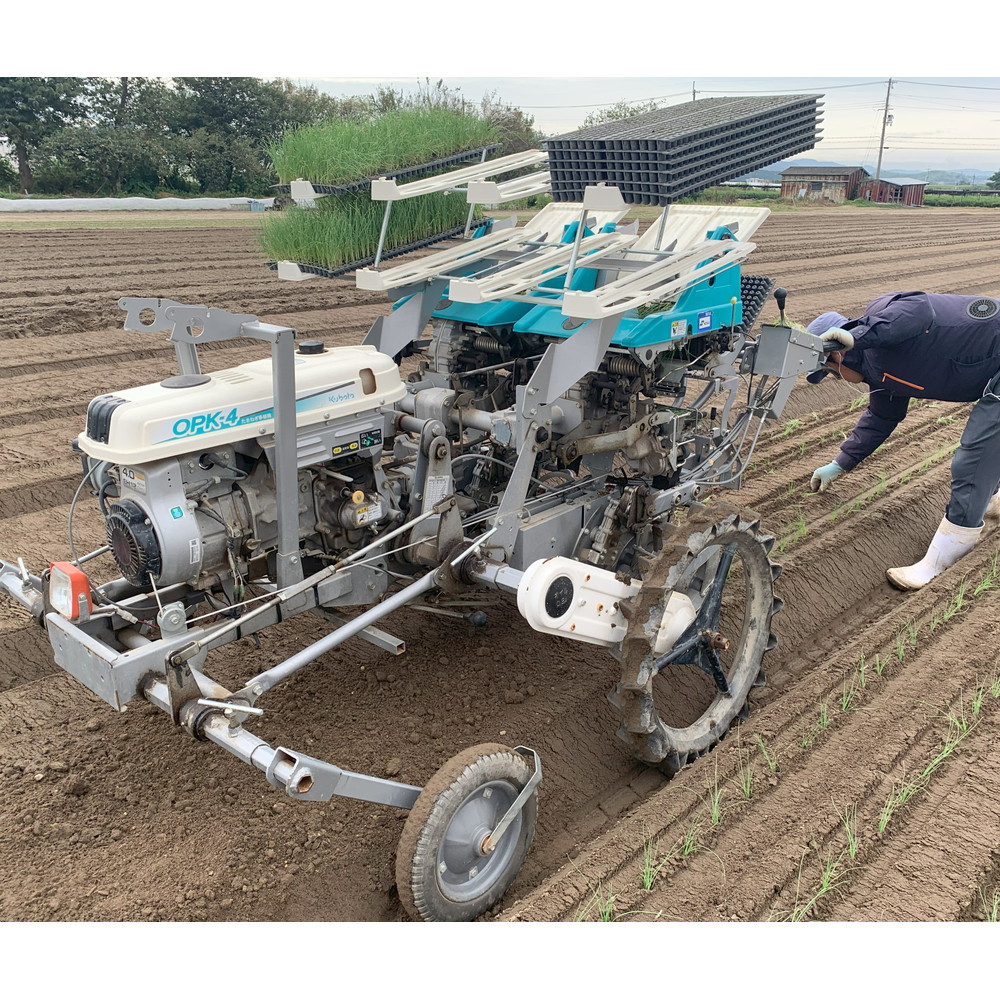 ねぎ様 秋田農園 山城のねぎ 1kg｜うさマートジャパンサービス株式会社の総合