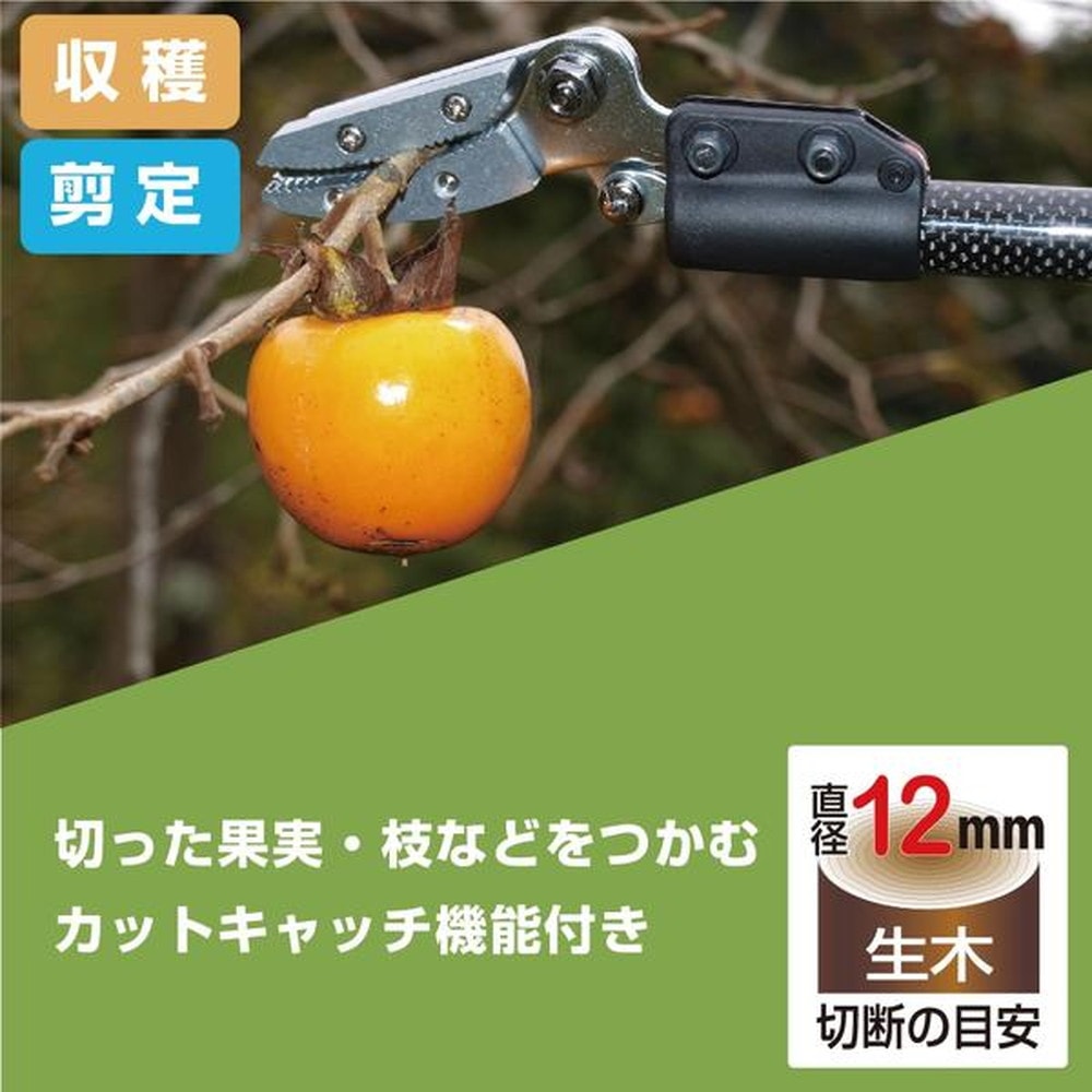 売上実績NO.1 アルス Amazon.co.jp: 採収 超軽量プロ用高枝鋏 カーボン