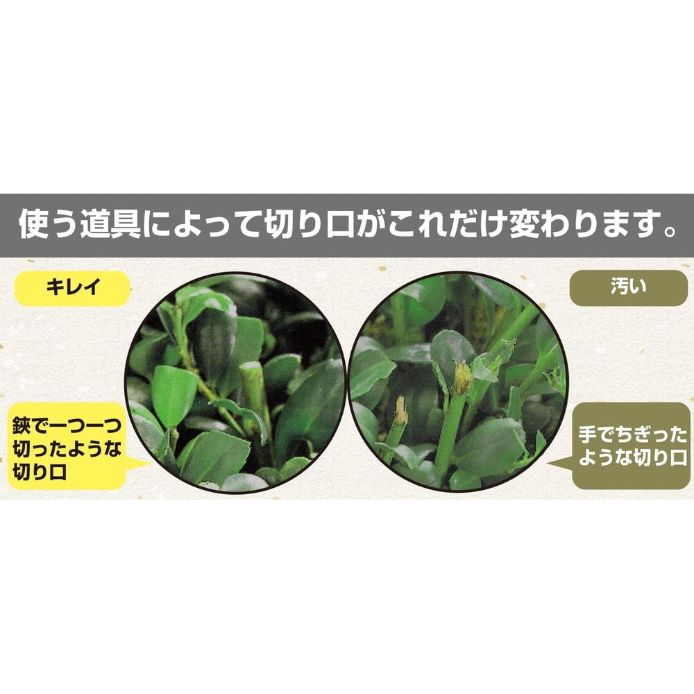 ハイパワー造園バリカンかルゼARSアルスコーポレーションDKW-35-1 ハイパワー造園バリカンカルゼロングチルト付き DKW-1035T-R