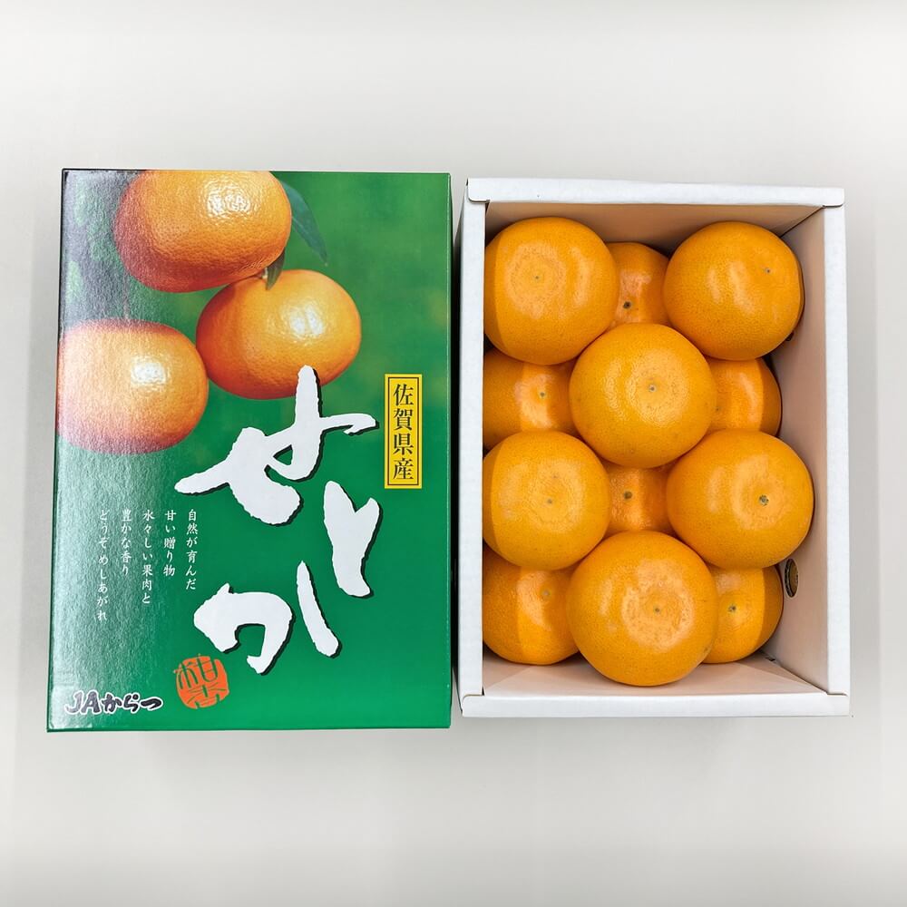 こだわりの柑橘】せとか とろける食感 佐賀県産 約2.5kg 等級秀 12～15