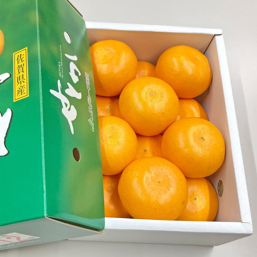 こだわりの柑橘】せとか とろける食感 佐賀県産 約2.5kg 等級秀 12～15