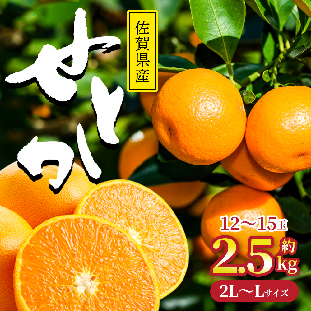 こだわりの柑橘】せとか とろける食感 佐賀県産 約2.5kg 等級秀 12～15