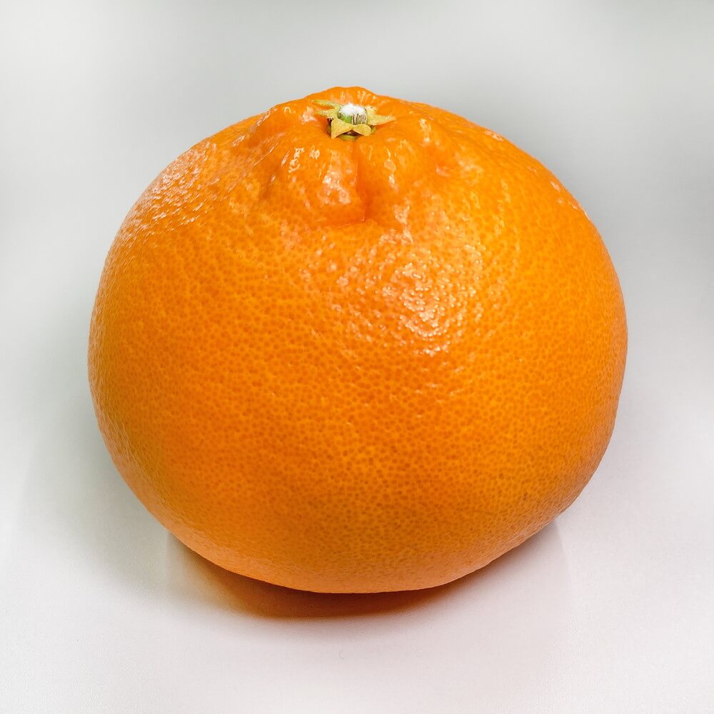 長崎生まれの逸品】せとか 長崎県産 約3kg 等級赤秀 4L～2L