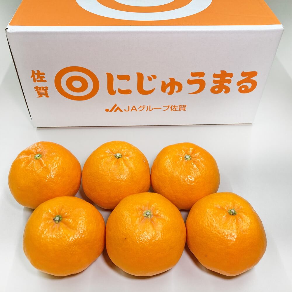 【全てが な柑橘】にじゅうまる 佐賀県産 約5kg 等級秀 約12～24玉 