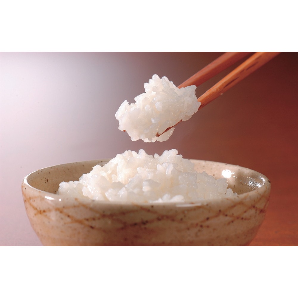 こしひかり 2kg×4袋 新潟産　計8kg 楽天市場】令和6年産 お米 8kg(2kg×4個) チャック付き お米 2kg
