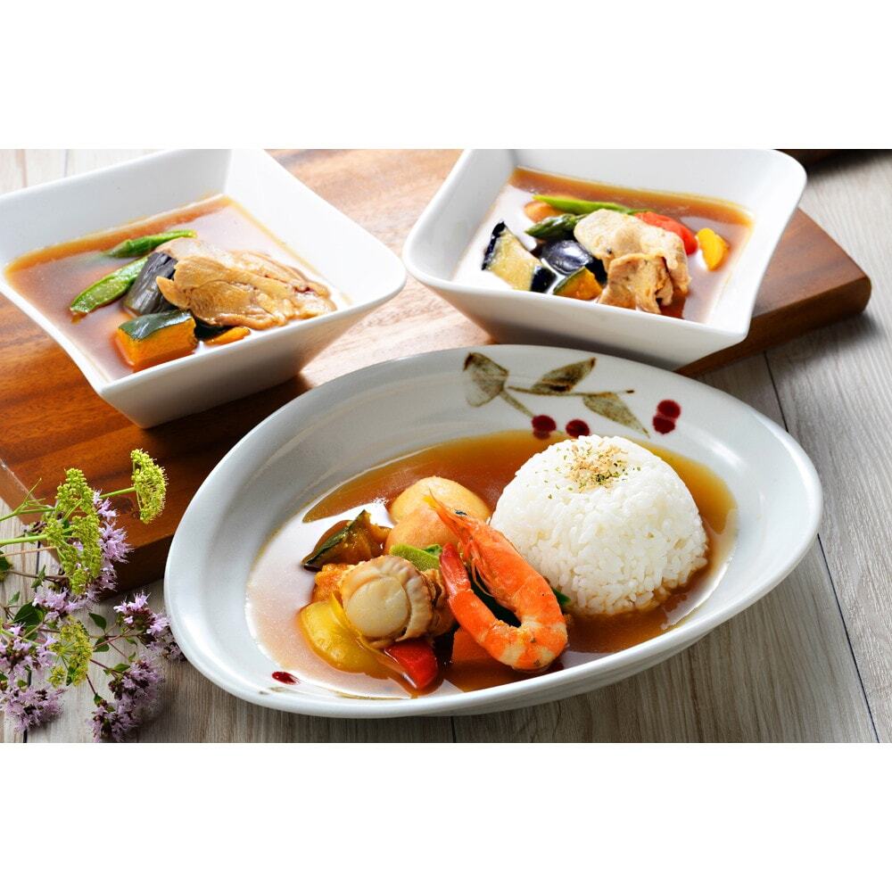 北海道 札幌バルナバフーズ 3種のスープカレー 6食入｜宇佐美鉱油の 