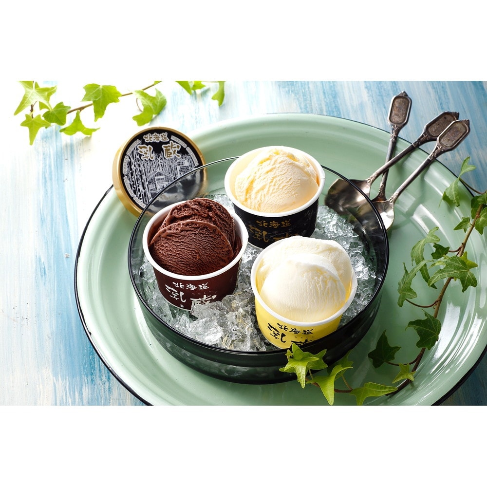 VIENNETTA アイスクリーム 10個セット 森永乳業 ビエネッタ 全部セット 10個入り ＜バニラ1個