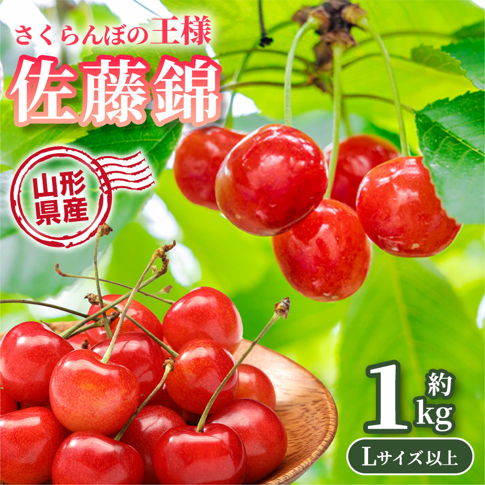 鮮やかな紅色】さくらんぼ 甘味と酸味のバランス 佐藤錦