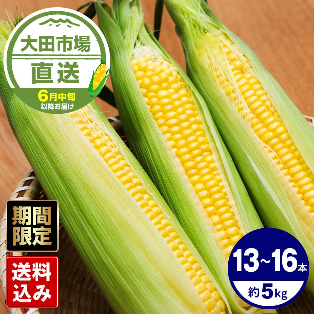 るんちゃん専用ゴールドラッシュとうもろこし入るだけ６月発送予定 6月中旬以降のお届け 群馬県産他 旬のイエローとうもろこし【恵