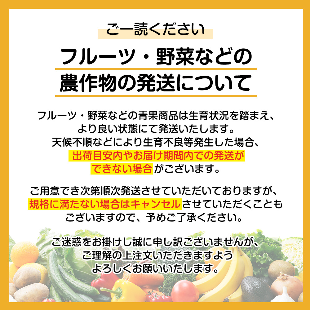 期間限定 5月下旬から出荷】和歌山県産南高梅 L～2L 約3㎏｜うさ