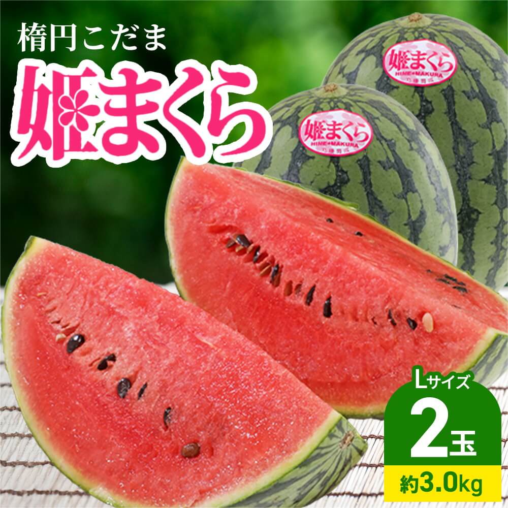 6月限定】姫まくら 小玉すいか 静岡県産 約3.0kg 秀品 2玉 Lサイズ 