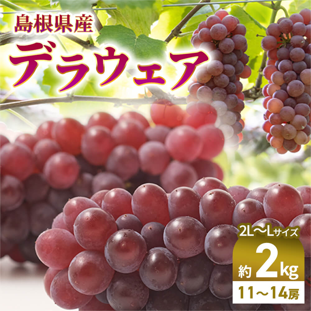 デラウェア 4kg クール便 （りの果樹園オンライン）
