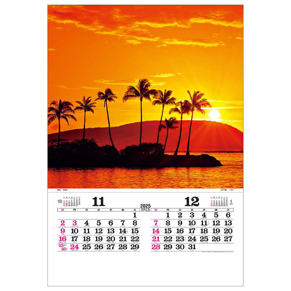 壁掛けカレンダー2025年 2025 Calendar トーハン DX マリンブルー フィルム フォト トーダン 写真 世界海風景 インテリア