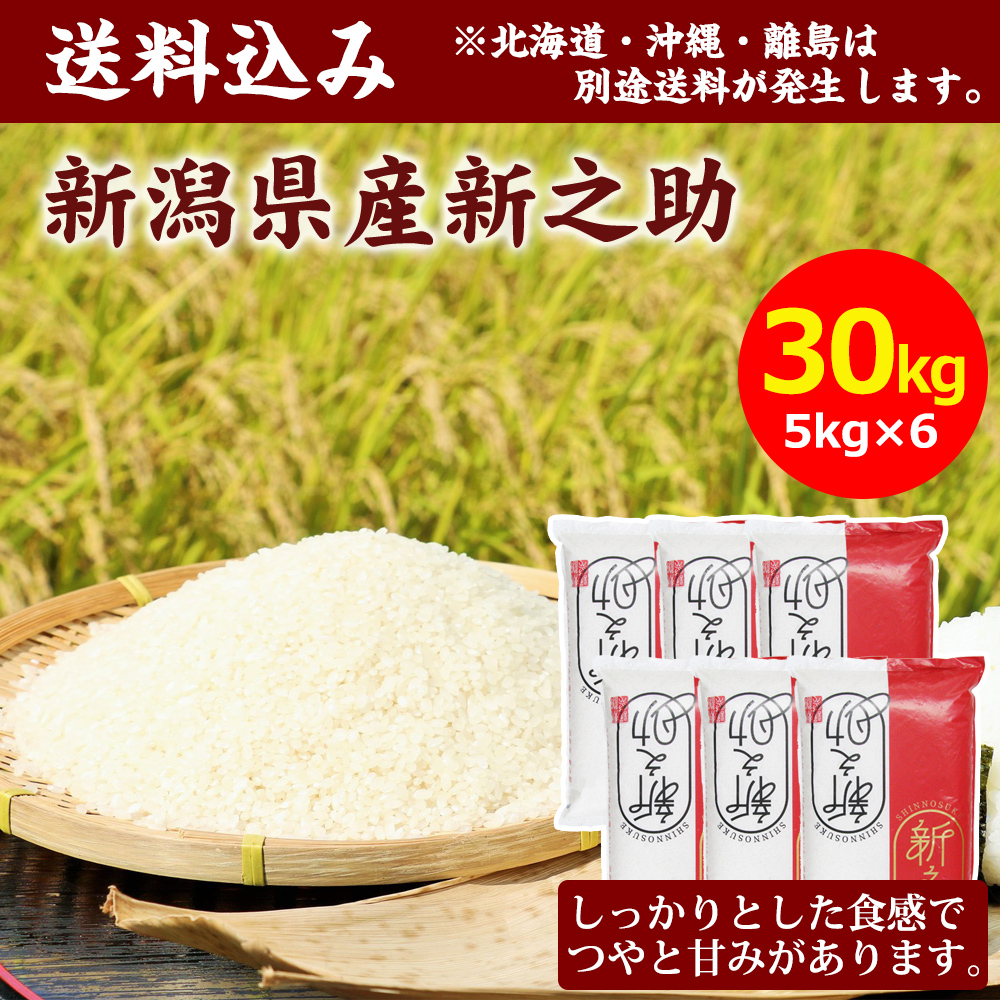 【令和7年産】田中米穀 新潟県産 新之助 30kg(5kg×6袋)