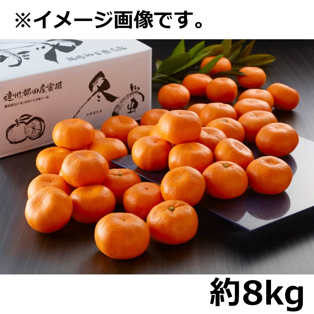 みかん 静岡県都田産 みかん「冬の蛍」 約8kg｜うさマートジャパンサービス