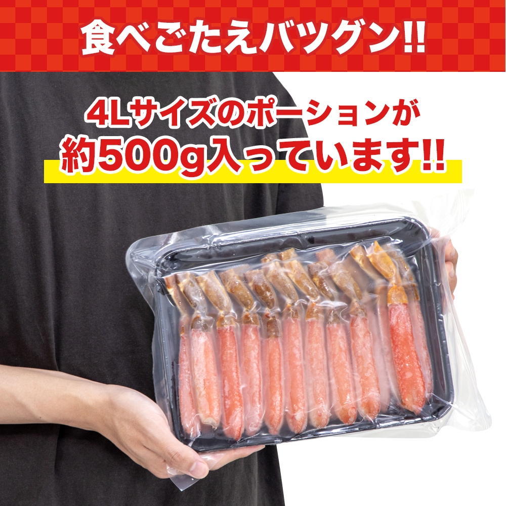 オーガニックボーダーT: トップス｜ハニーズ公式通販