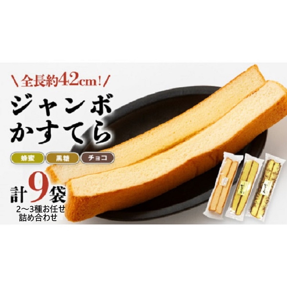 �K��@�W�����{�����Ă�l�ߍ��킹�@9��(2��`3��l�����E��ޑI��s��)