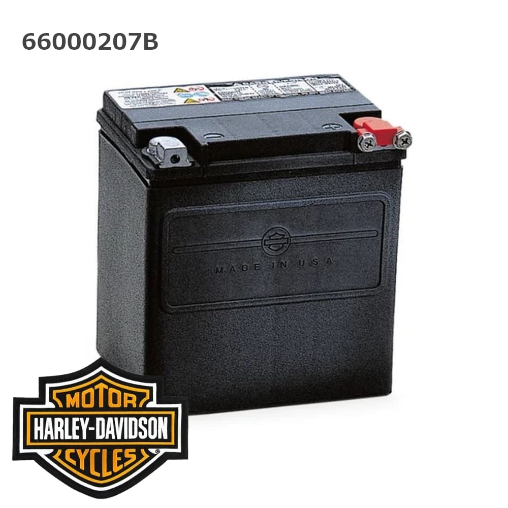 【20HL-BS+充電器セット】完全密閉 ハーレーバッテリー AGM高性能バッテリー (ソフテイルスリム FLS 65989-90B/65989-97B 互換) H-D・AGM標準装備バッテリー 液入り充電済み HARLEY-DAVIDSON HARLEY