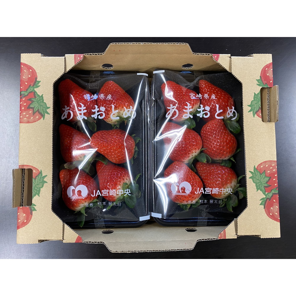 宮崎県産】あまおとめ 2～4L 約250g×2パック｜うさマートジャパン