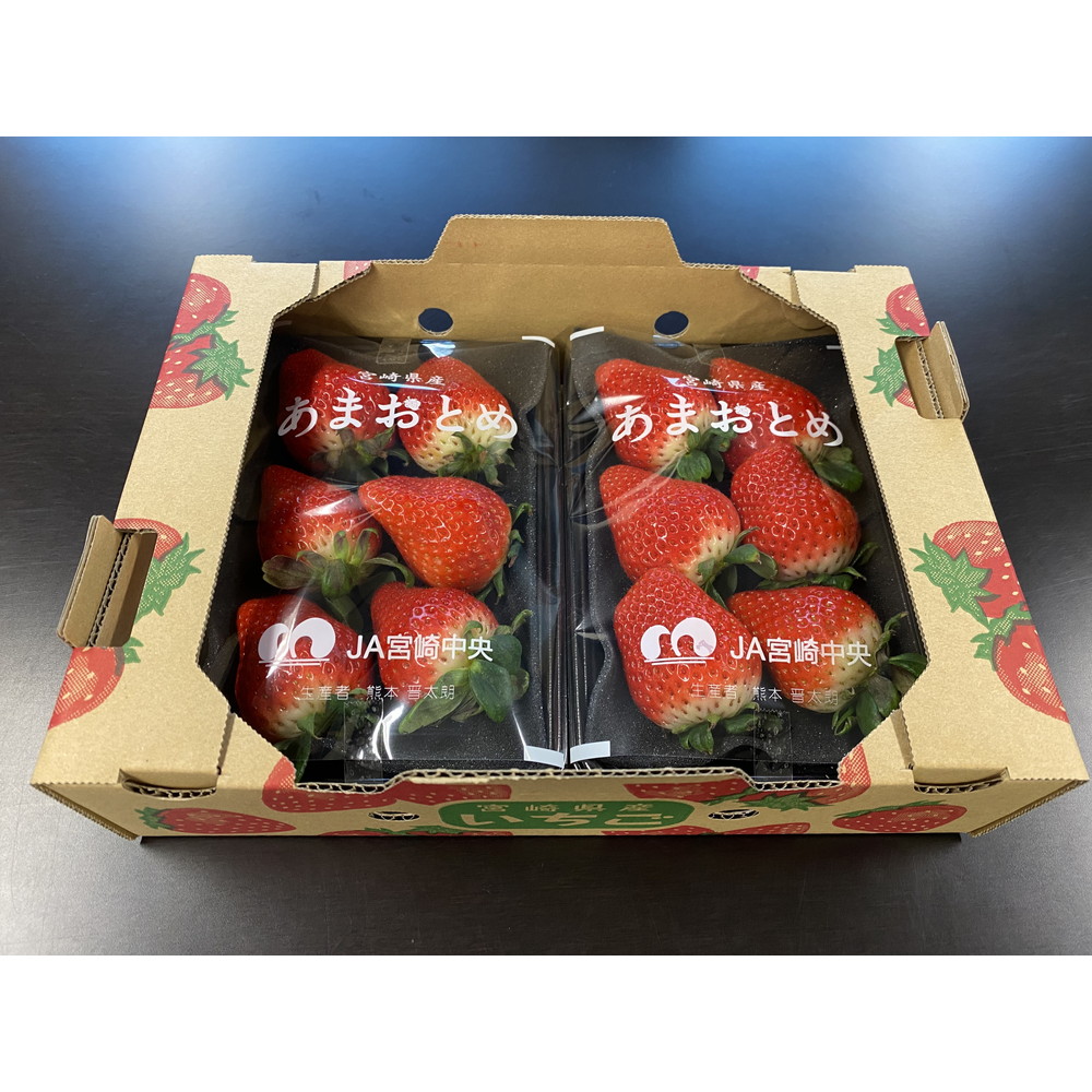宮崎県産】あまおとめ 2～4L 約250g×2パック｜うさマートジャパン