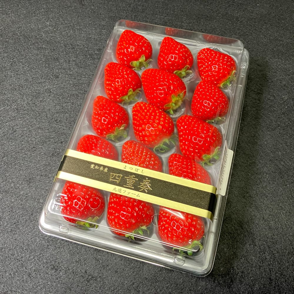 バーゲンで 希少品種】完熟いちご 約250g×2パック(約500g よつぼし 愛知県産 その他