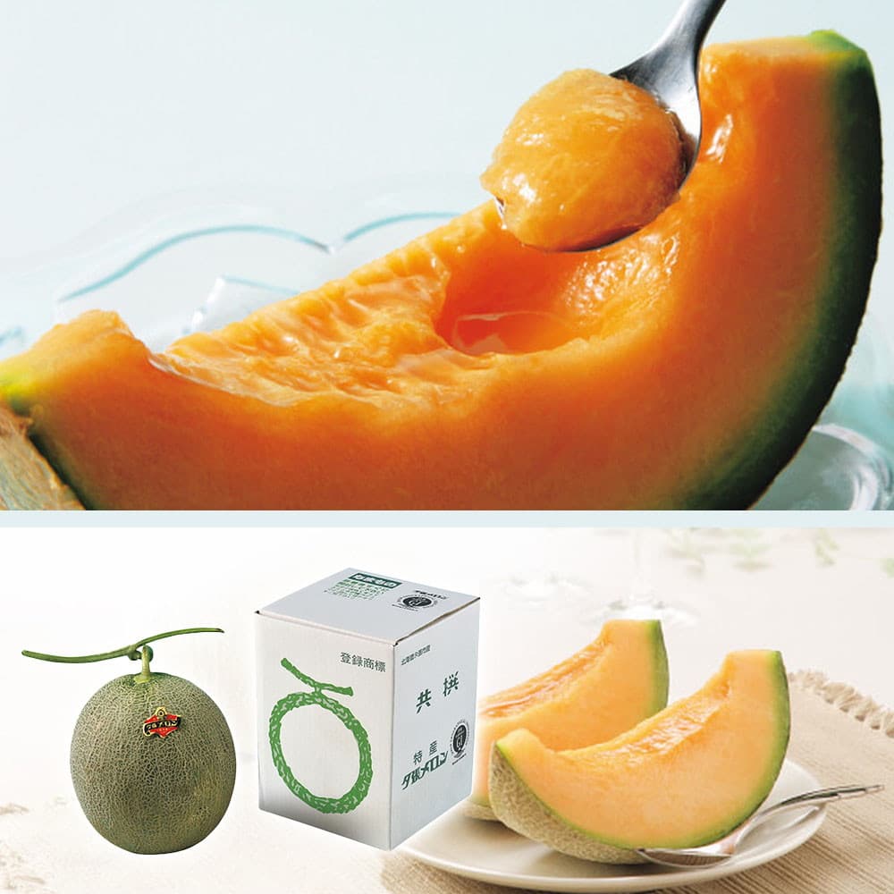 メロン 夕張メロン優品 3Lサイズ 2玉 6月下旬発送開始 | 全農食品