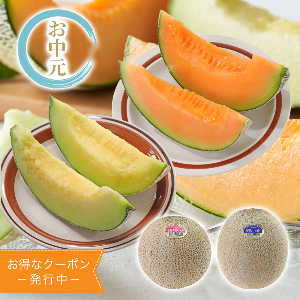 夏メロン 山形県産(JA鶴岡) JA鶴岡 庄内砂丘メロン 赤・青セット(お届け