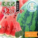うさマート商品検索結果（スイカ）｜うさマート