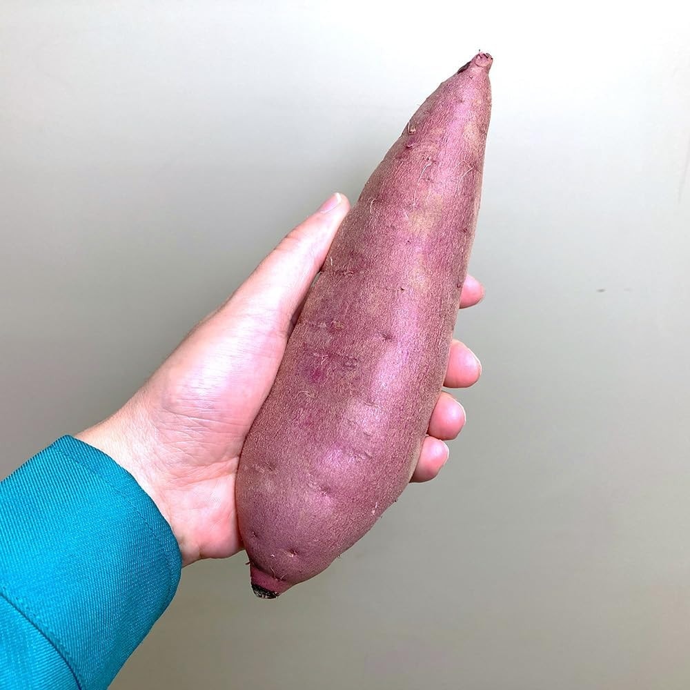 さつまいも 5kg 紅はるか 茨城県産 18～22本前後 Mサイズ 甘い DX