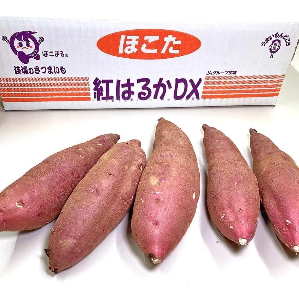 さつまいも 5kg 紅はるか 茨城県産 30～35本前後 Sサイズ 甘い DX