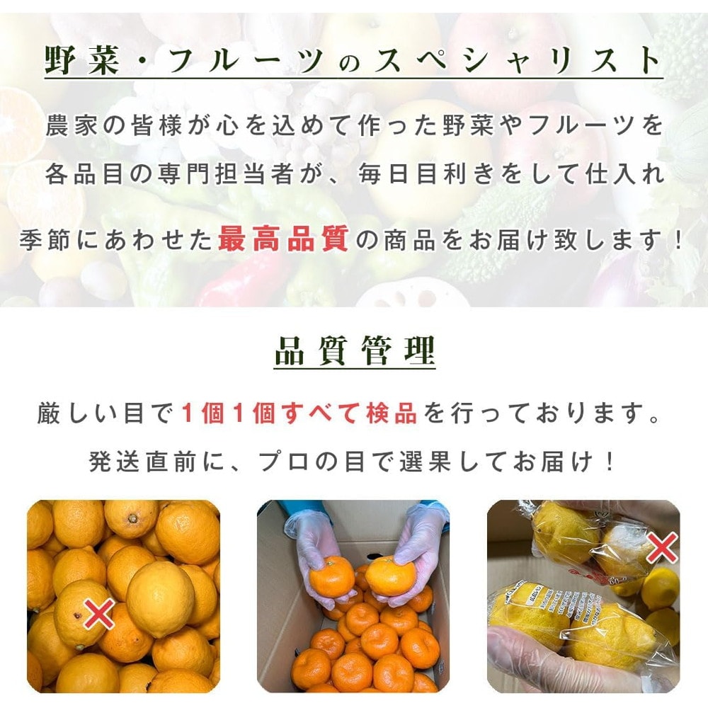 さつまいも 5kg 紅はるか 茨城県産 30～35本前後 Sサイズ 甘い DX