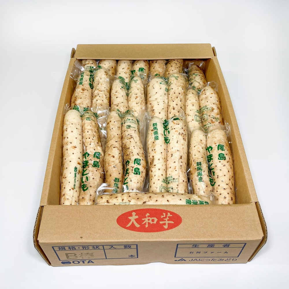 山芋さま購入 山芋 大和芋 やまといも 群馬県産 22～28本 B棒 1箱 とろろ 冷蔵