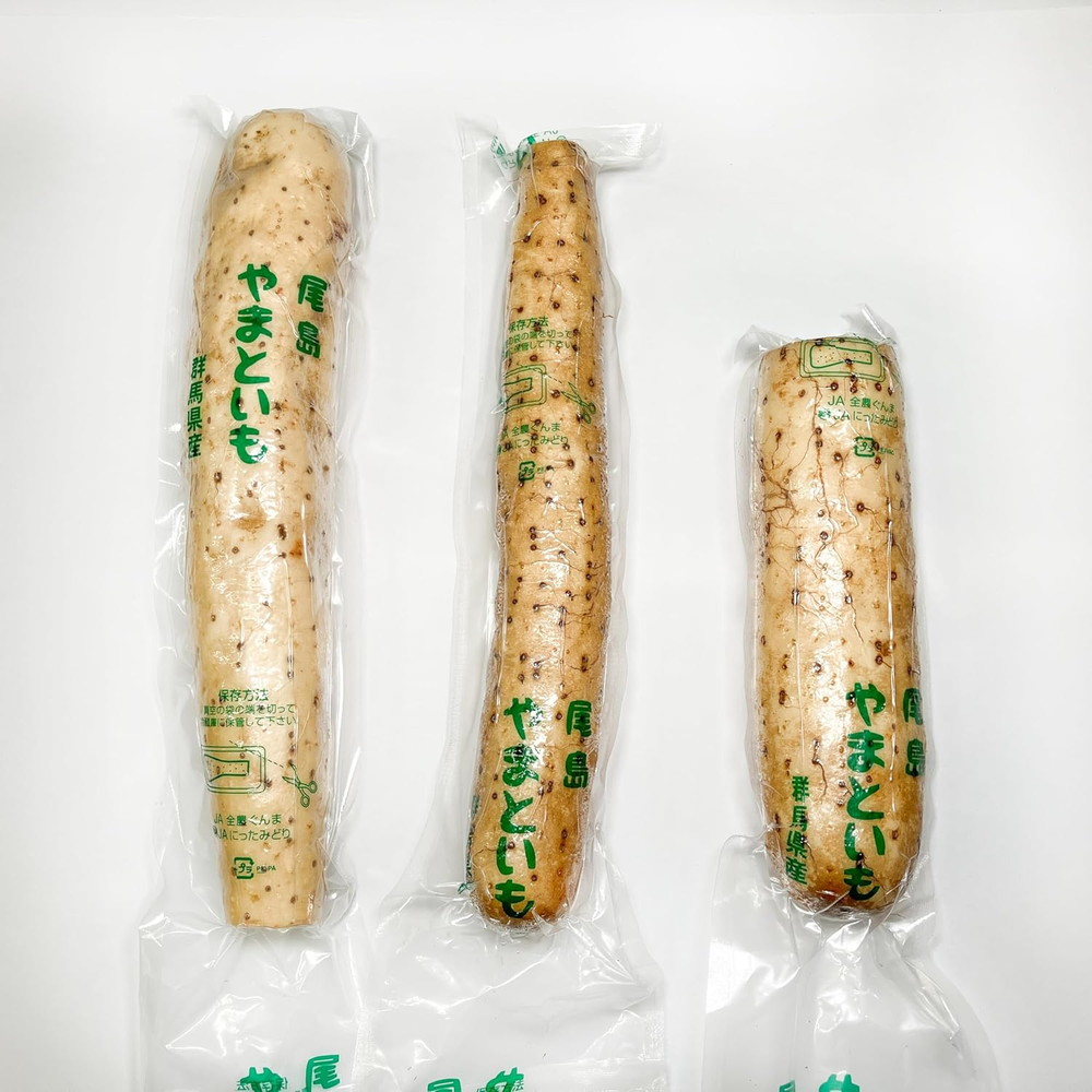 山芋 大和芋 やまといも 群馬県産 22～28本 B棒 1箱 とろろ 冷蔵