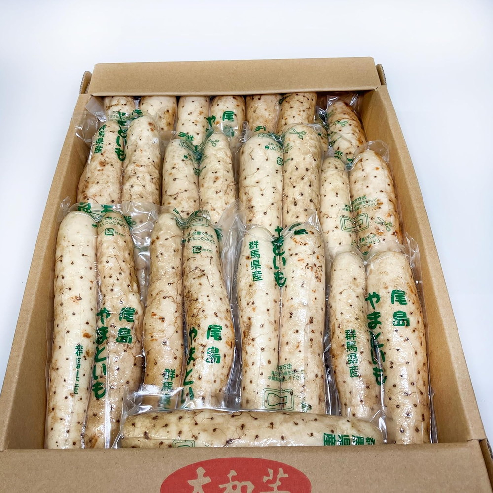山芋 大和芋 やまといも 群馬県産 22～28本 B棒 1箱 とろろ 冷蔵