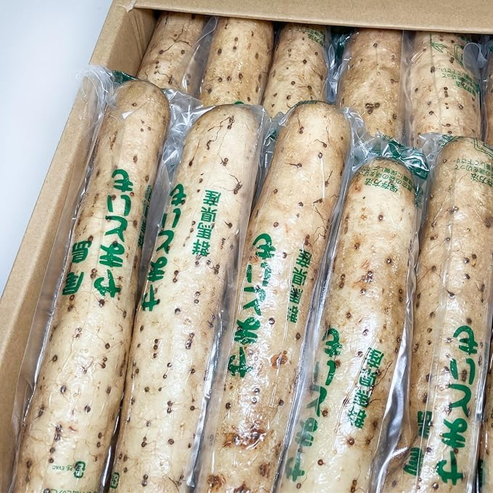 やまいも 山芋 大和芋 やまといも 群馬県産 16～20本 AA～A棒 1箱 とろろ 冷蔵