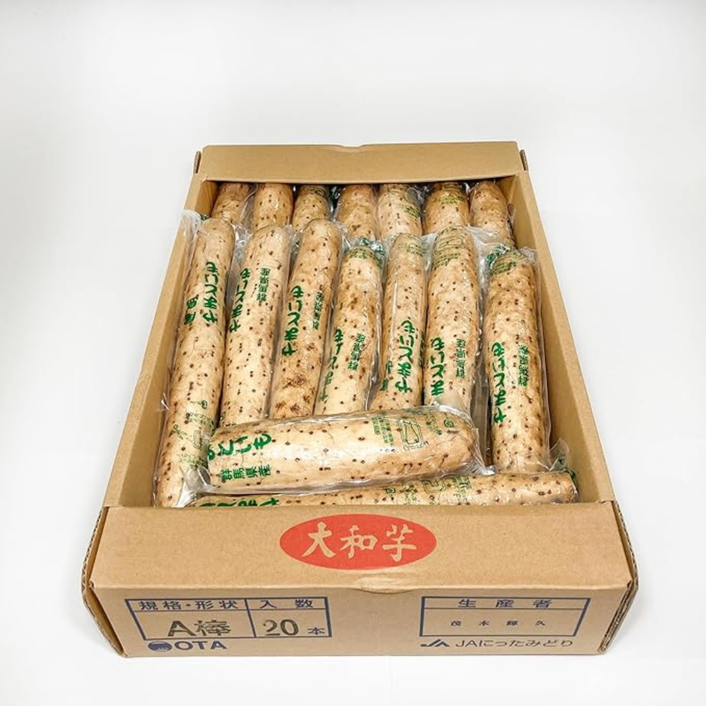 やまいも 山芋 大和芋 やまといも 群馬県産 16～20本 AA～A棒 1箱 とろろ 冷蔵