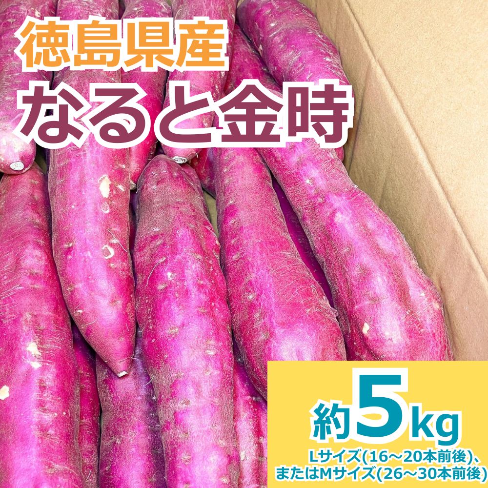 ܂@5kg@ȂƋ@Y@Gi@L`MTCY@@@Â