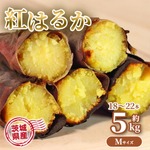 さつまいも 5kg 紅はるか 茨城県産 18～22本前後 Mサイズ 甘い DX