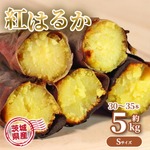 さつまいも 5kg 紅はるか 茨城県産 30～35本前後 Sサイズ 甘い DX