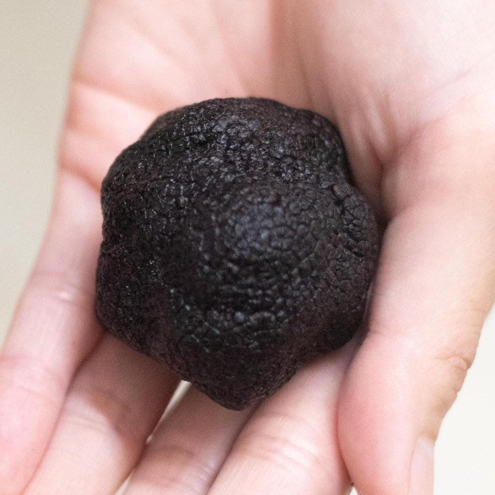 Truffle Universe@VRgt@Ⓚ@5`6cm@50`90g@q}Y(Y)