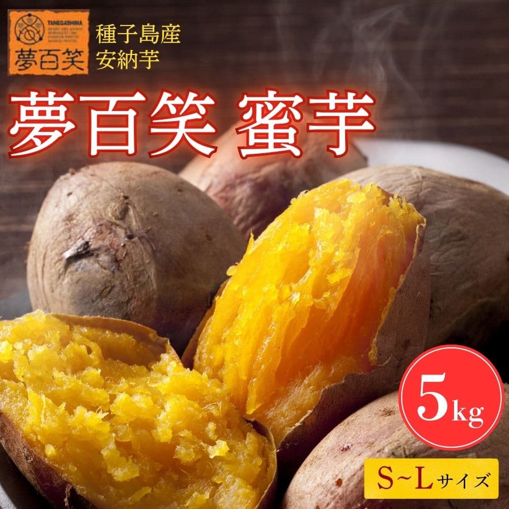 y11{ȍ~\zS([)@5kg@S`LTCY