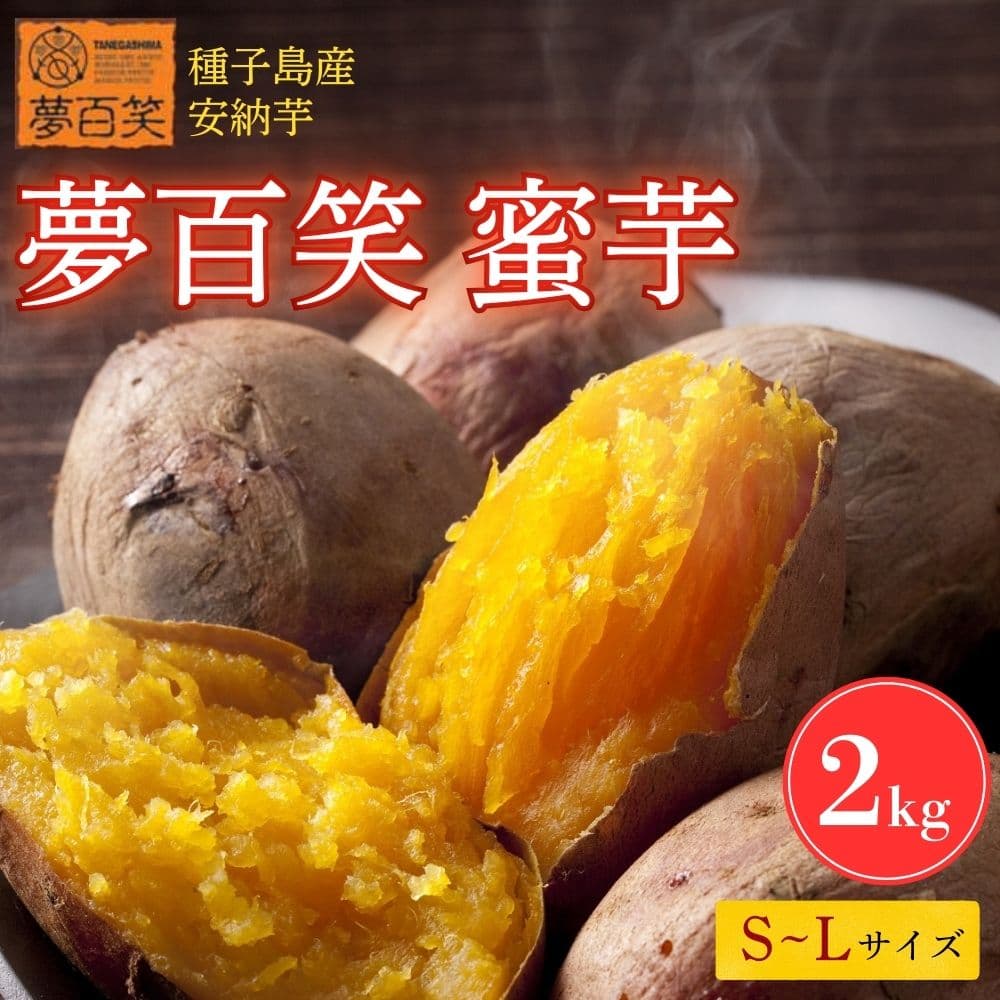 y11{ȍ~\zS([)@2kg@S`LTCY