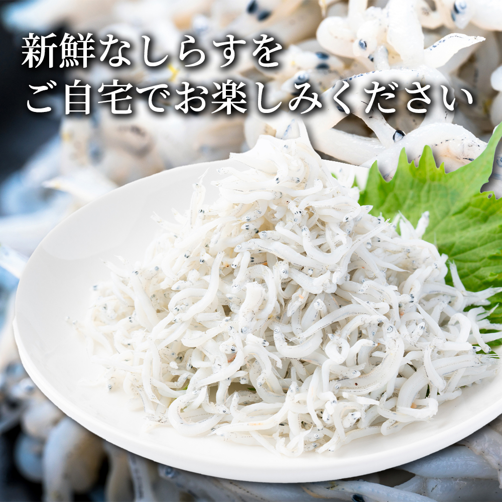 極上】大阪産 釜揚げしらす 500g（250g×2）しらす丼タレ4個付き 冷蔵