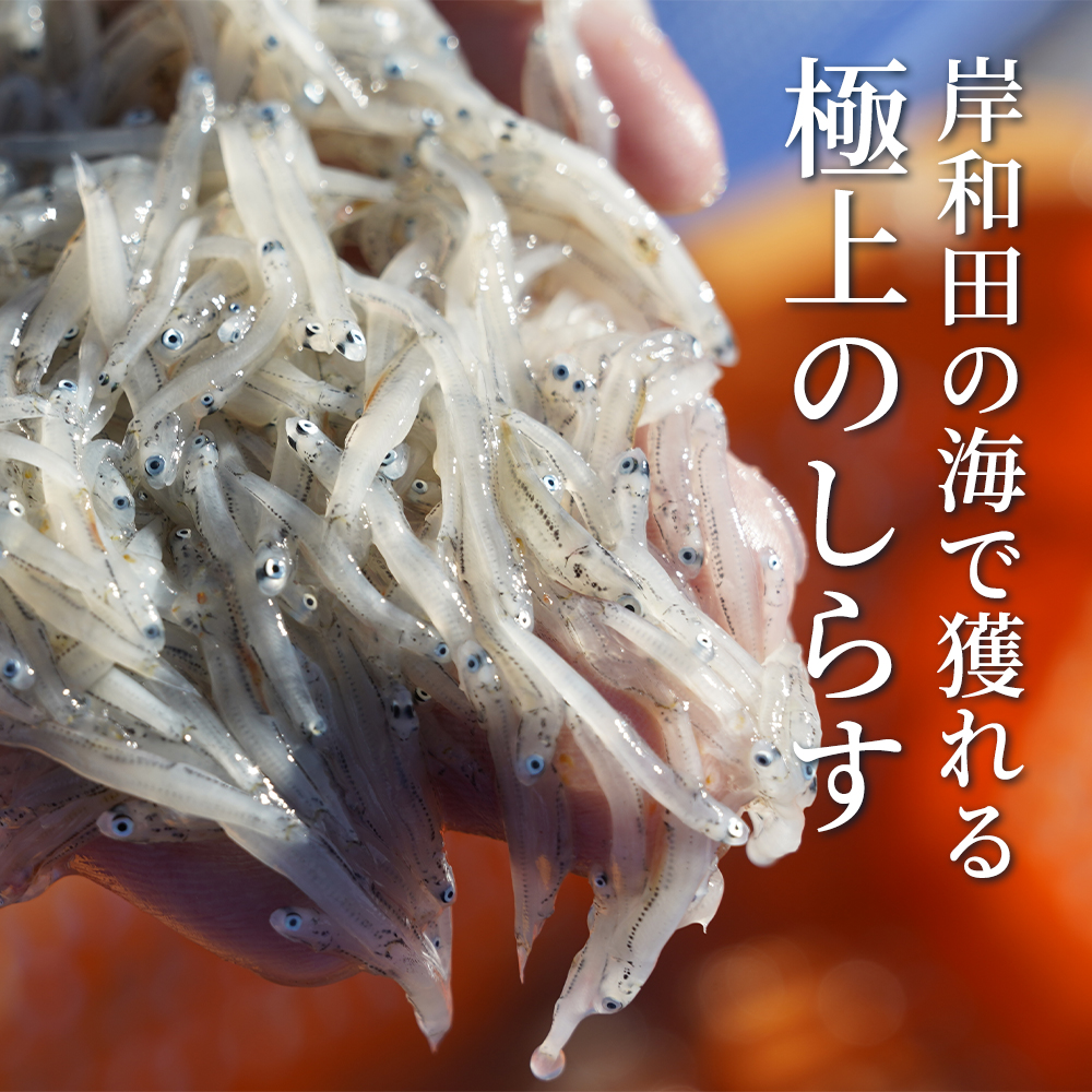 極上】大阪産 釜揚げしらす 1kg（250g×4）しらす丼タレ4個付き 冷蔵
