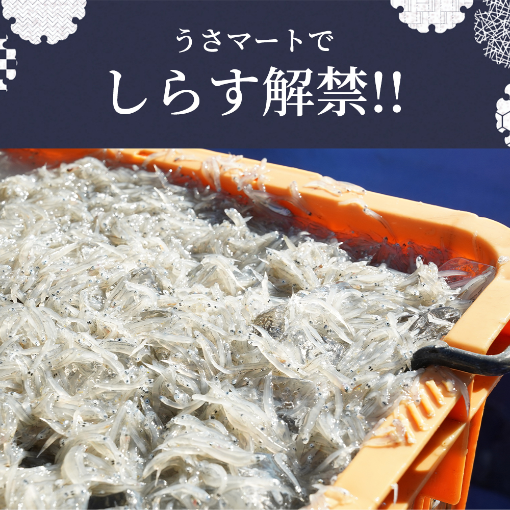 極上】大阪産 釜揚げしらす 1kg（250g×4）しらす丼タレ4個付き 冷蔵
