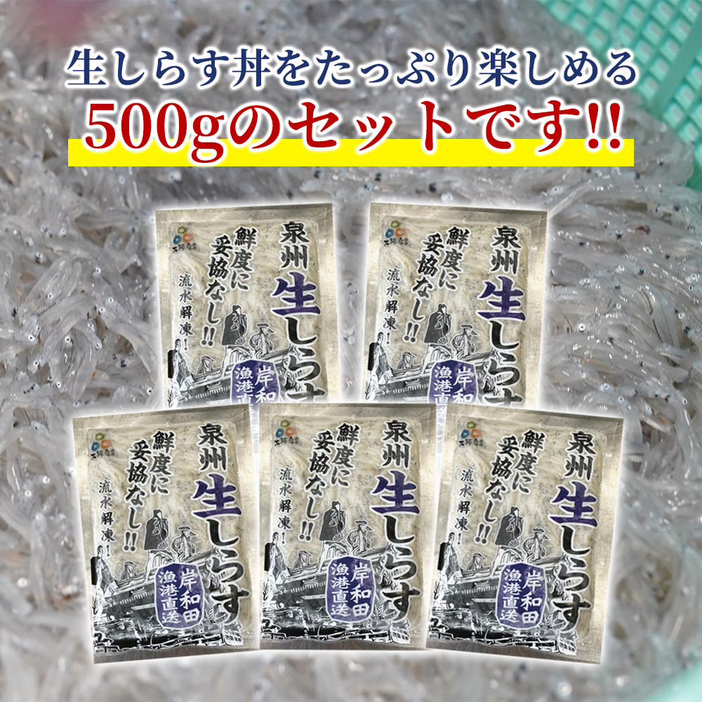 極上】大阪産 冷凍生しらす 500g（100g×5）しらす丼タレ4個付き 冷凍